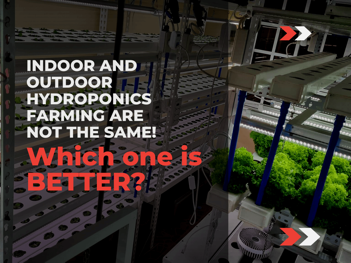 Which is better in Hydroponics, Indoor or Outdoor
