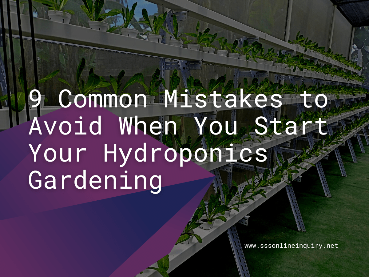9 Common Mistakes to Avoid When You Start Your Hydroponics Gardening